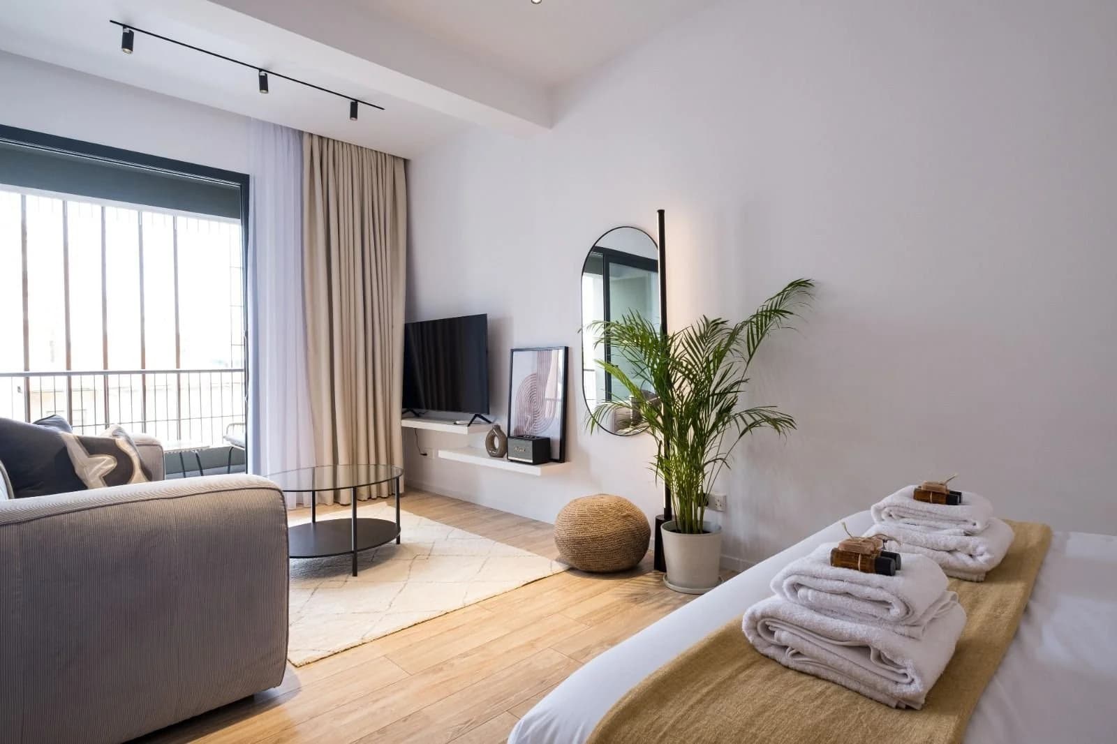 OLYMPIA studio with a palm, a sofa and a tall window