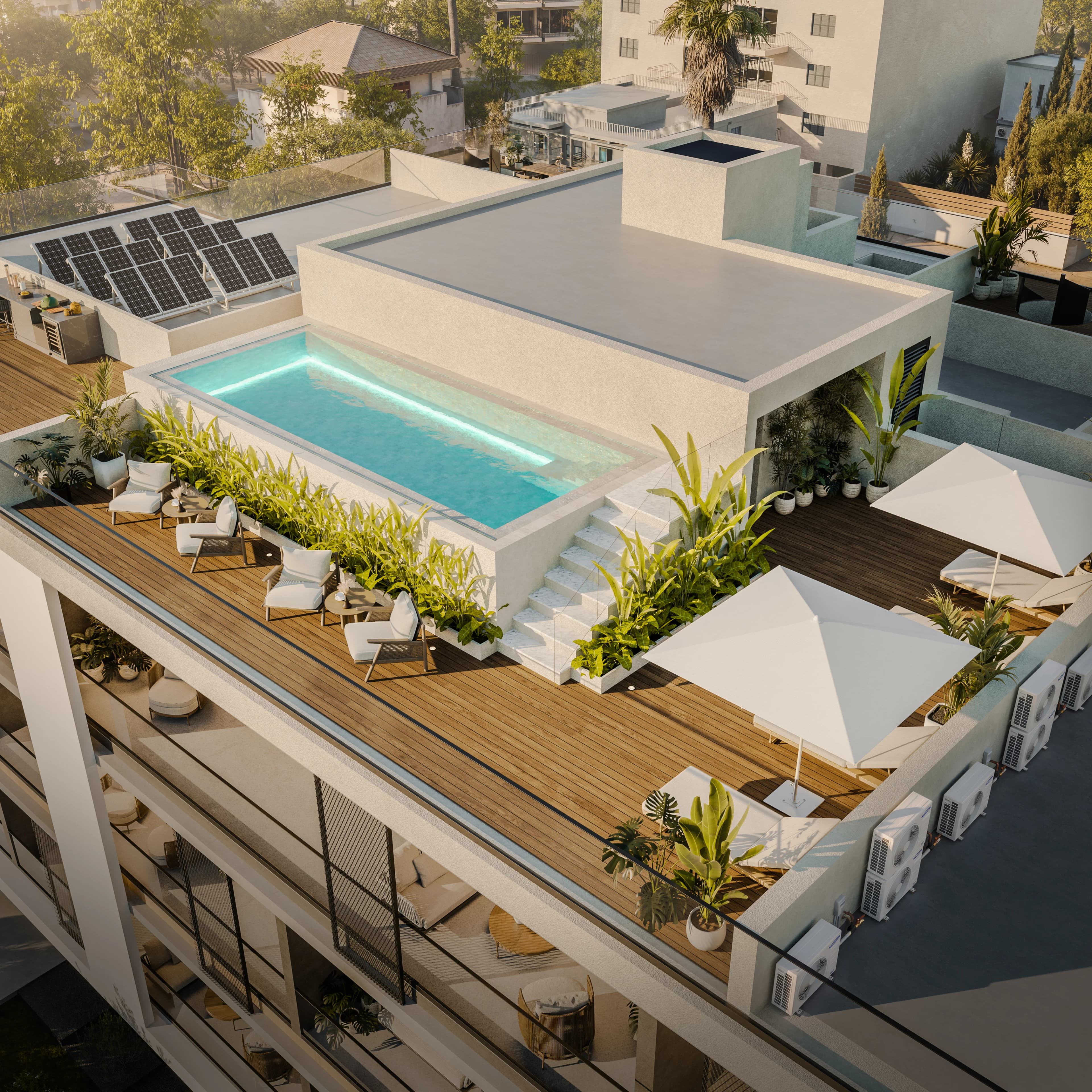 LYNEA's rooftop pool with a timber deck, sun loungers and planting