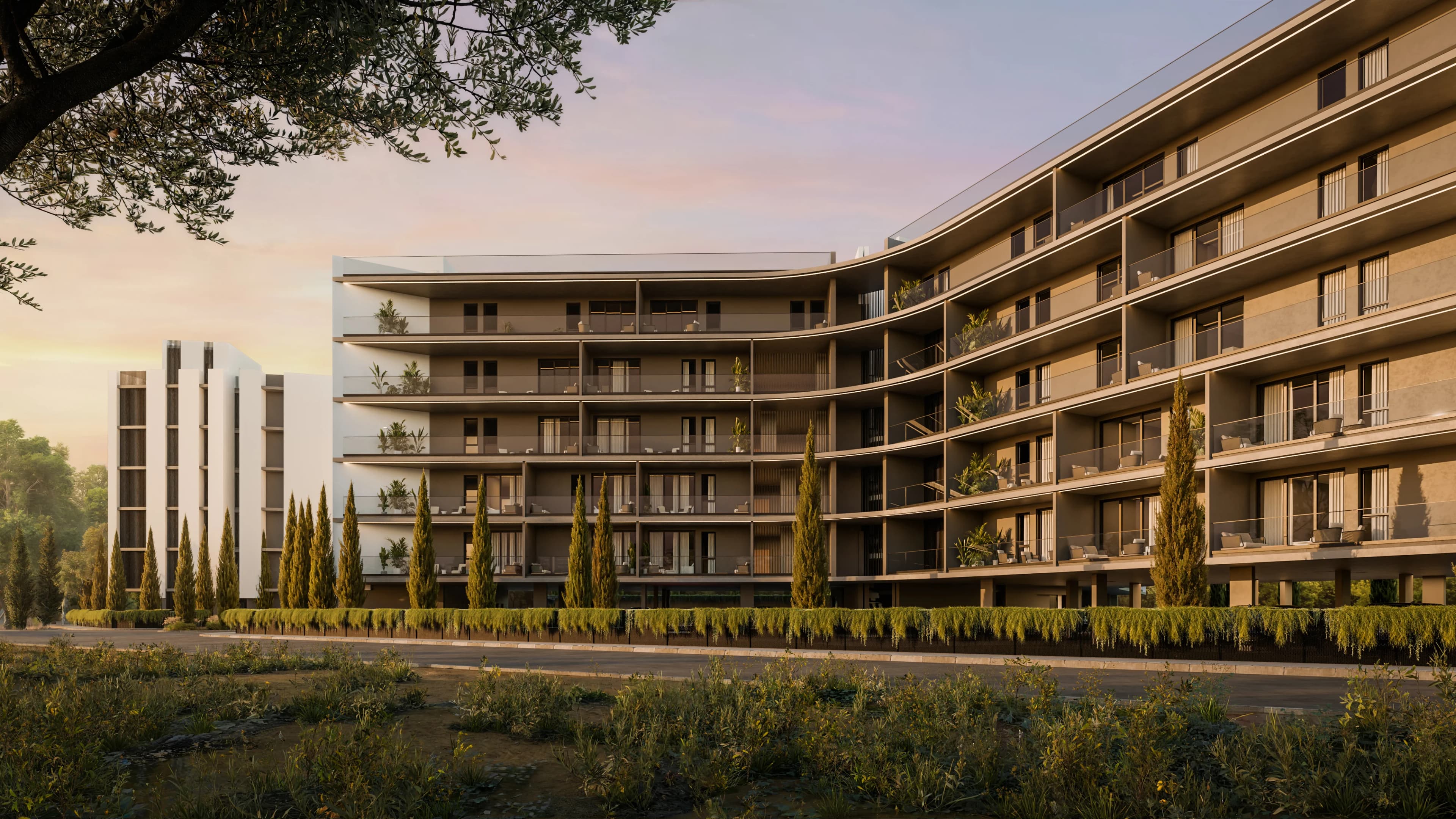 ZOIA's curved facade glowing at sunset behind a row of cypress trees