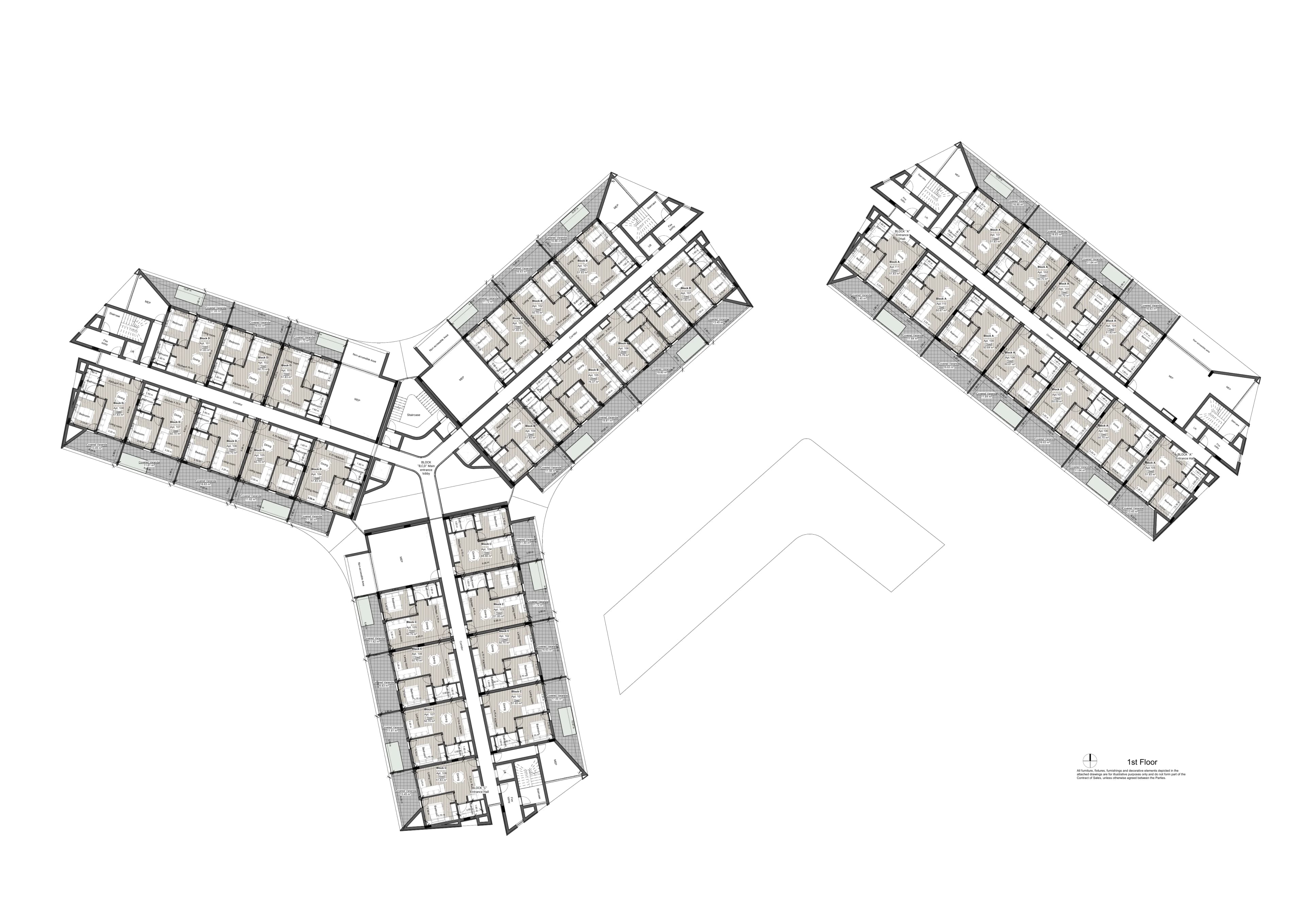 ZOIA floor plan: 1st Floor