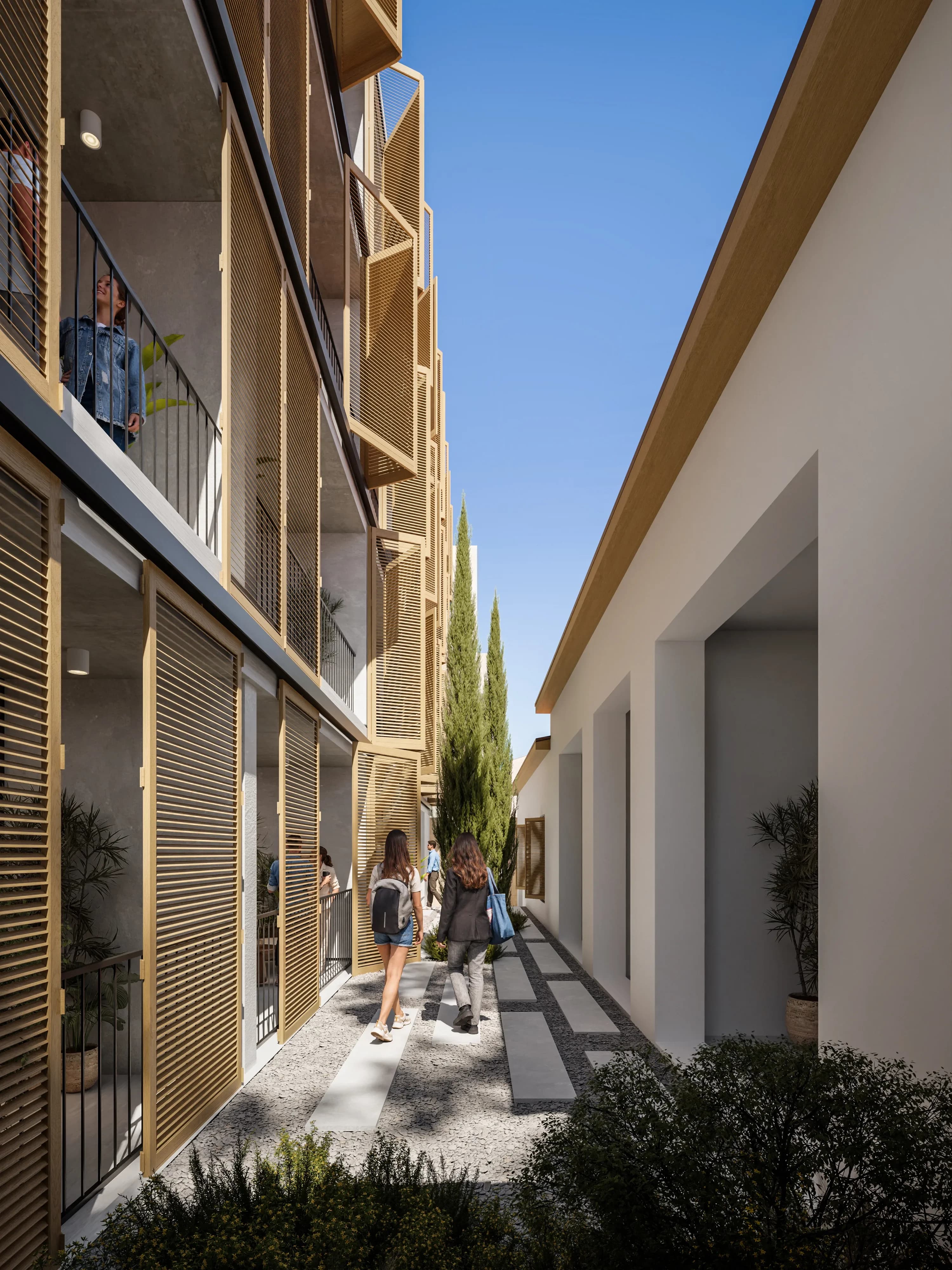 Courtyard at VIBE between the louvred verandas and a whitewashed wall, with tall cypress trees